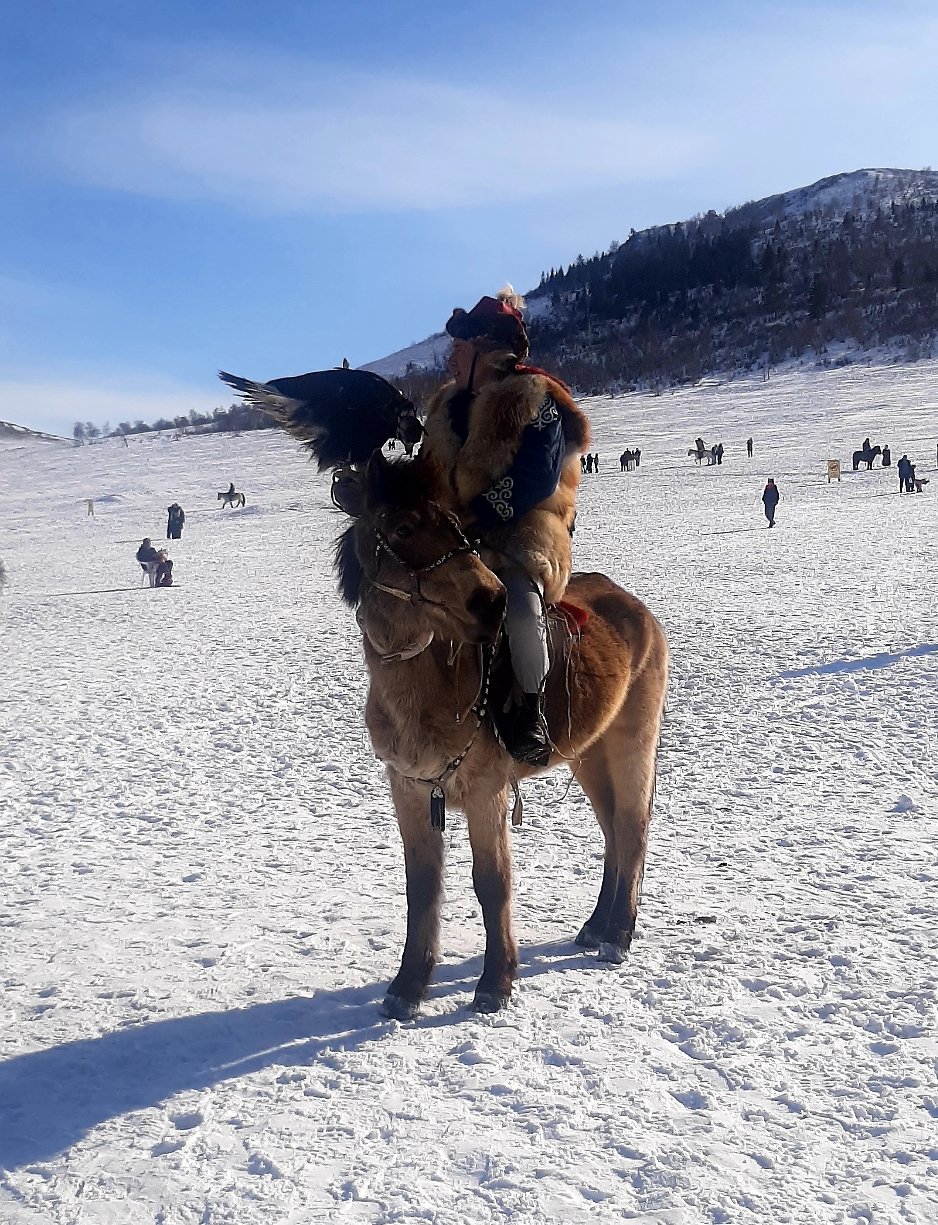 Traditional eagle hunting ground in the Altai mountains Mongolia